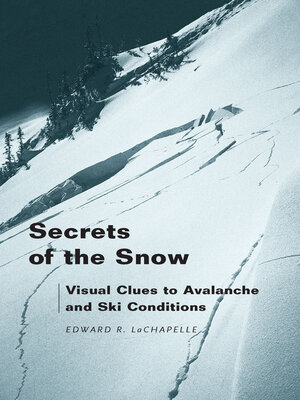 cover image of Secrets of the Snow